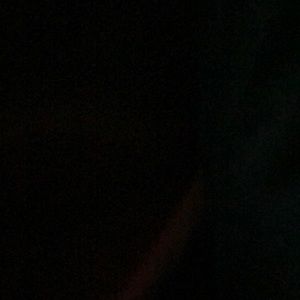 Meet your Posher, Isabella